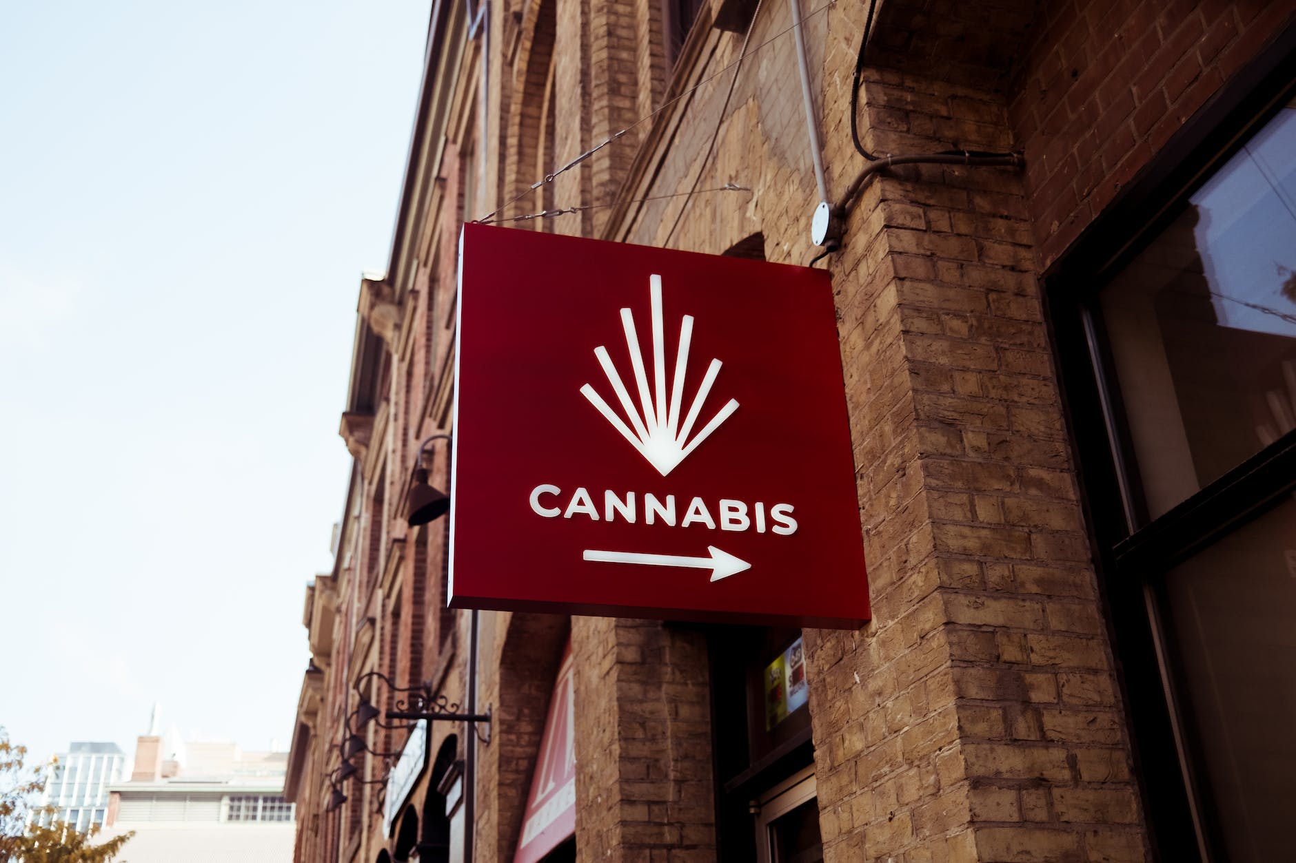 red sign of cannabis store