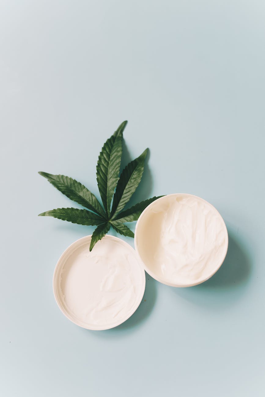Exploring Cannabis Salves: From Pain Relief to Skincare